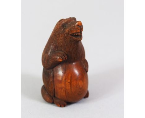 A JAPANESE MEIJI PERIOD CARVED WOODEN NETSUKE OF A BADGER, the badger in an upright position with one paw upon his belly, bea