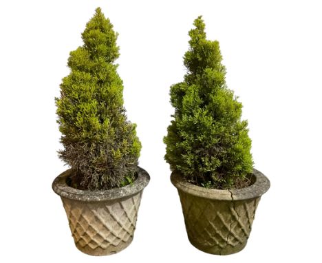 Pair of weathered cast stone garden planters, with lattice decorationDimensions: Height:&nbsp;35cm&nbsp; Length/Width:&nbsp;5