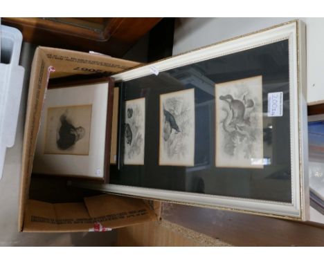A collection of Early prints depicting wildlife, similar item of John Wesley, Victorian silhouette of Francis Franklin and sm
