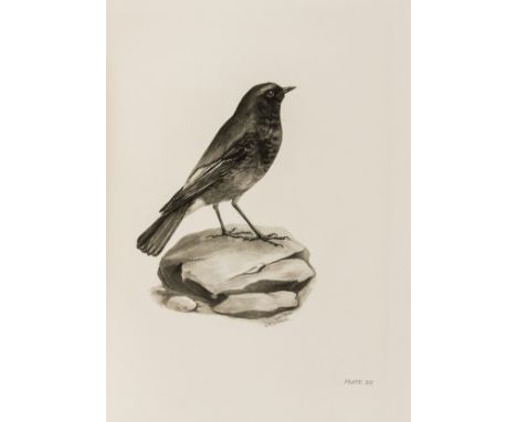 Birds.- Stonham (Charles) The Birds of the British Islands, 5 vol., first edition, half-titles, 318 photogravures, captioned 