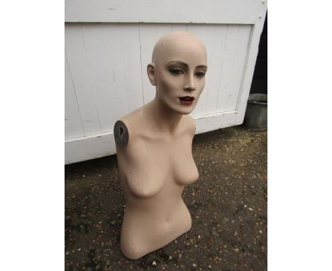 1978 Mannequin&nbsp;