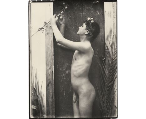 Gloeden, Wilhelm von -- Young male nude in doorway with blossom branch. Circa 1900/printed later. Gelatin silver print. 24 x 
