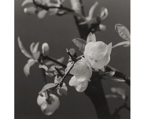 Japanese Photography -- Photographer: Seien Takagi. Landscapes and views of Japan. 1937. 21 vintage gelatin silver prints on 