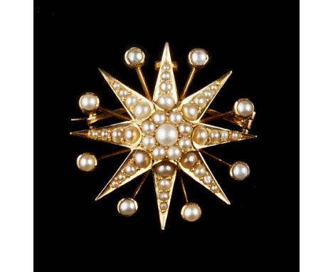 TWO VICTORIAN PANEL BROOCHES, comprising a half pearl star brooch, with detachable threaded brooch fitting and hinged pendant