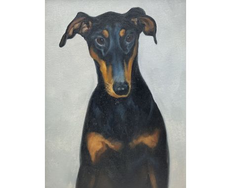 English School (20th century): Portrait of a Doberman Dog, oil on canvas unsigned 40cm x 30cm
