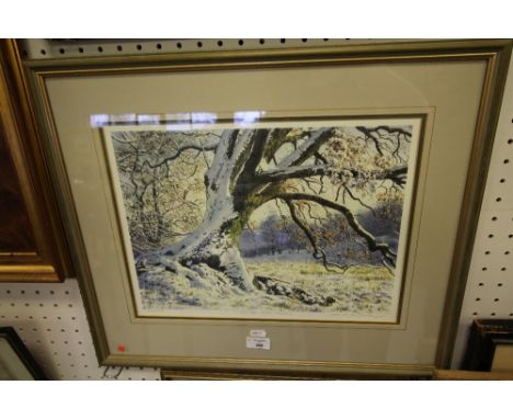J.M. Aldersley print - Winter Oak Rydal, 264/850 framed