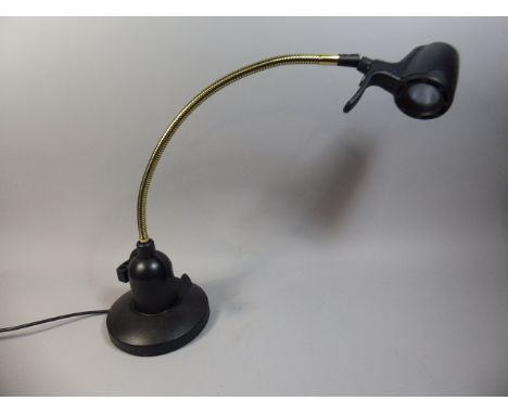A Modern Adjustable Reading or Modeling Light