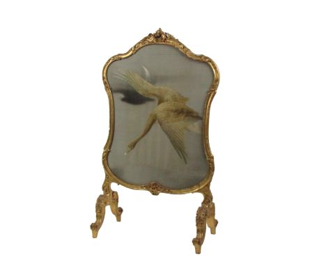 A 19th Century giltwood cartouche shaped Firescreen, with 'S' scroll and floral border, silk tapestry inset depicting a goose