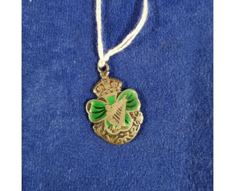 VICTORIAN IRISH SILVER &amp; ENAMEL MEDAL 1900