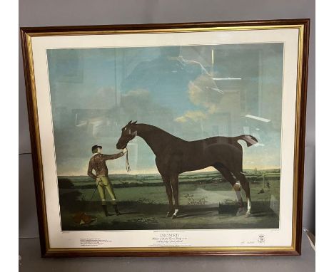 A print of Dlomed Winner of the first Epsom Derby 1780 