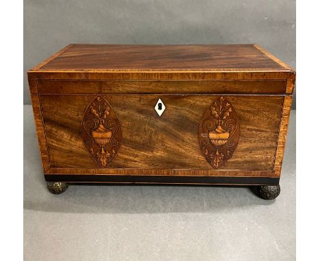 An antique tea caddy with ornate fruit wood shell decoration.