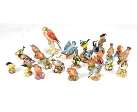 A collection of twenty three Royal Worcester matte glazed models of birds including bull finch, robin, nut hatch, a blue bird