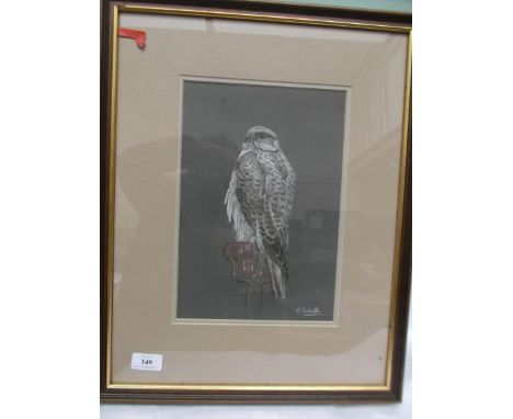 Framed crayon drawing of a bird of prey signed R. Kenchington