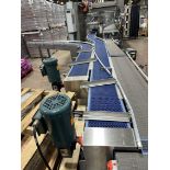 Keenline Intralox Belt over Stainless Steel Frame Conveyor (Approx. - Subj to Bulk | Rig Fee $750