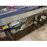 Keenline Intralox Belt over Stainless Steel Frame Conveyor (Approx. - Subj to Bulk | Rig Fee $300