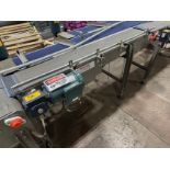 Keenline Intralox Belt over Stainless Steel Frame Conveyor (Approx. - Subj to Bulk | Rig Fee $300