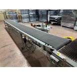 Finished Case Belt Conveyor over Steel Frame with VFD (Approx. 20" x - Subj to Bulk | Rig Fee $375