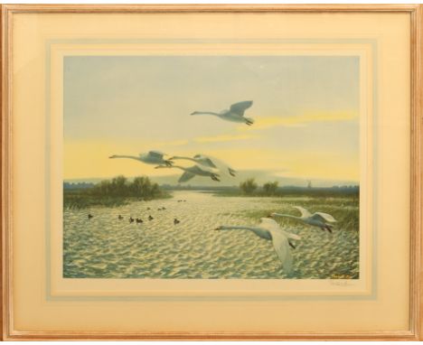 Peter Scott (British, 1909-1989) North Wind - Bewick Swans limited edition colour lithograph, signed in pencil lower right, b