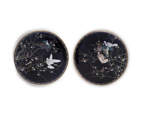 A PAIR OF JAPANESE CLOISONNE ENAMEL CHARGERS,the black ground decorated with birds in trees. 40cm diameter