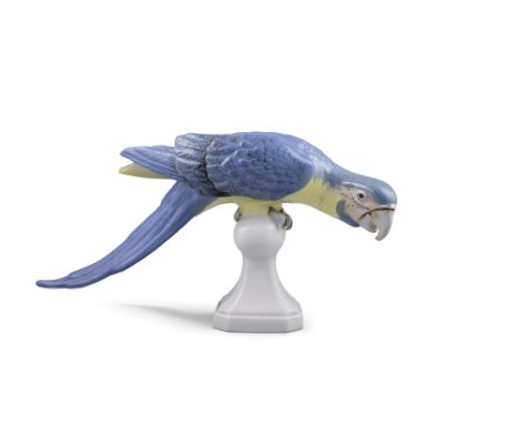 A ROYAL DUX PAINTED PORCELAIN MODEL OF A BLUE PARROTseated on an oval perch with swept base. 21cm high, 42cm long