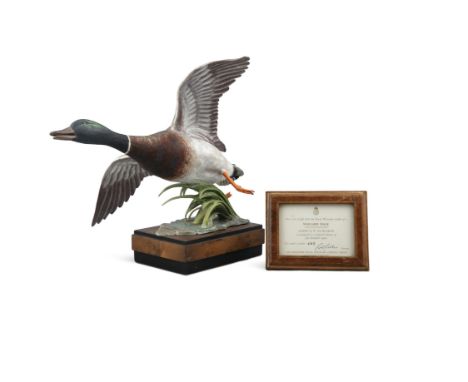 A ROYAL WORCESTER PORCELAIN MODEL OF A MALLARD DRAKE (ANAS PLATYRHYNCHOS), modelled by R. Van Ruyckevelt, model no.495/500, r