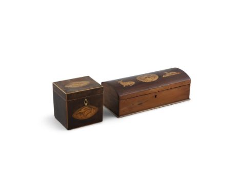 A VICTORIAN KILLARNEY WORK ARBUTUS WOOD RECTANGULAR BOX, with domed lid decorated with a bridge flanked by a stag and a hound