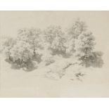 Jost Schnyder von Wartensee, Zuschreibung (1822 - 1894) Bäume in einer hügeligen Landschaft