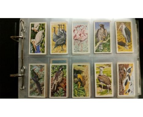 Cigarette & Trade Cards - TRADE, mainly part sets and odds, inc. Brooke Bond, African Birds (Rhodesian, 16), complete (3), Di