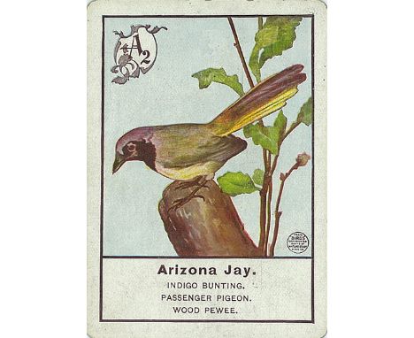 Cigarette & Trade Cards - BIRDS, playing card issue, art style (from the original 1897/8 Nature Study Pub. & Co.), part set (