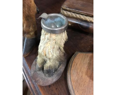 Taxidermy: An ashtray, made from a hoof, a similar hoof inkwell, lacks lid, and a similar hook 