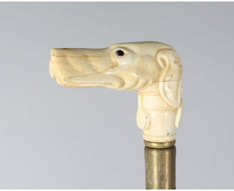 A CARVED BONE DOG HANDLE WALKING STICK. 36ins long.