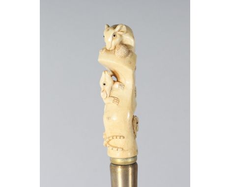 A CARVED BONE RATS HANDLE WALKING STICK. 34ins long.