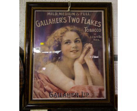 GALLAGHER TERO FLAKES PRINT