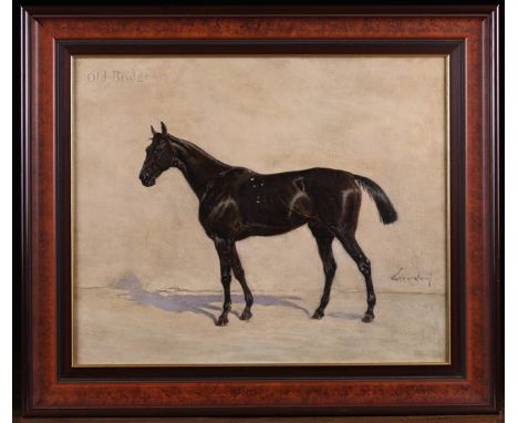 An Oil on Canvas (relined) Portrait of a Horse inscribed 'Old Bridge' and signed indistinctly bottom right. The canvas measur