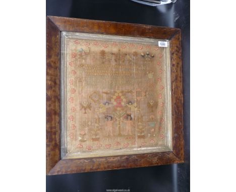 A Maple  framed and glazed sampler by Mary Cross of Amortherby,  aged 13, showing Adam and Eve Tree of Life, angels, G.R crow