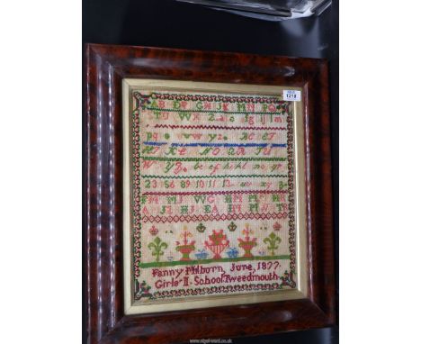 A framed and glazed bright wool sampler by Fanny Filborn, June 1877, a rare feature of a Girls II School, Tweedmouth, with fa