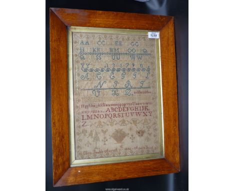 An Oak framed well sewn alphabet Sampler with strawberry border by Eliza Beable, August 31st 1846, aged 8, 10 3/4'' x 15 3/4'