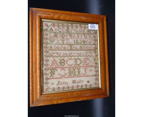 A small 19th c.,burr Maple framed alphabet sampler by Jane Main with strawberry border in pink and green, 8'' x 9 1/4''.