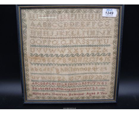 A sampler by Amelia Sharren Pewther, aged 8, 1829, a small alphabet sampler with border, 10'' 1/4'' square.