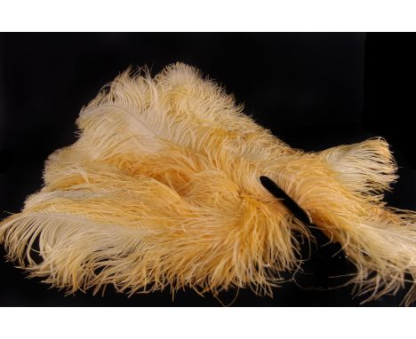 Two Burlesque ostrich feather fans,  in orange and yellow, the latter with mother of pearl sticks (2) 