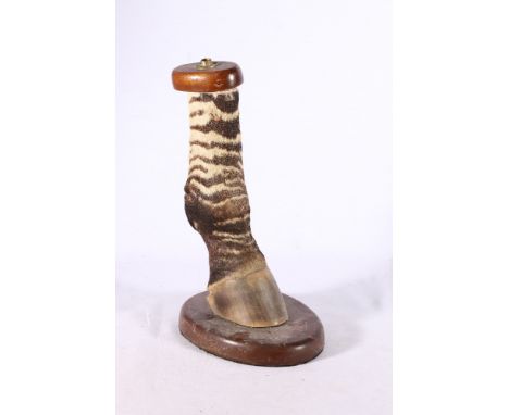 Taxidermy zebra foot and leg table lamp with mahogany mounts, 31cm tall 