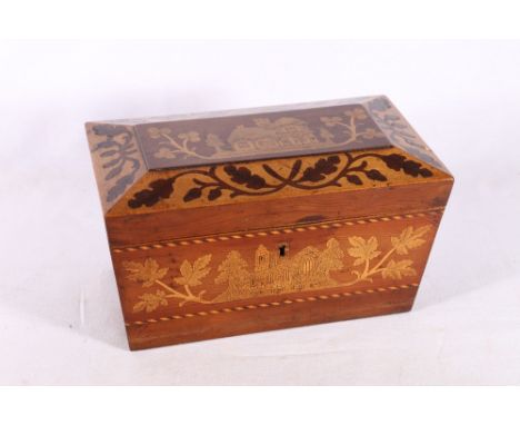 Antique pine marquetry tea caddy of sarcophagus form inlaid with thatched cottage, castle ruins, oak and acorns bands and oth