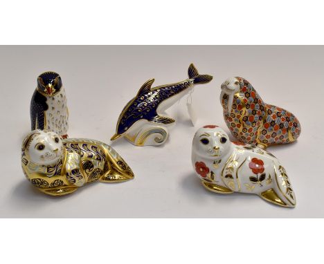 Royal Crown Derby paperweights to include; Seal, Harbour Seal, limited edition 1156/4500, Walrus, Dolphin, Rock Hopper Pengui