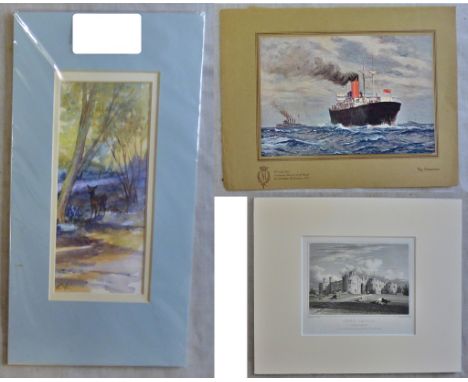 Wilkinson Notman RL-'Big Steamers' Print pained for Princess Mary's gift book.-Antique print - Chirk Castle-Drawn by J.P.Neal