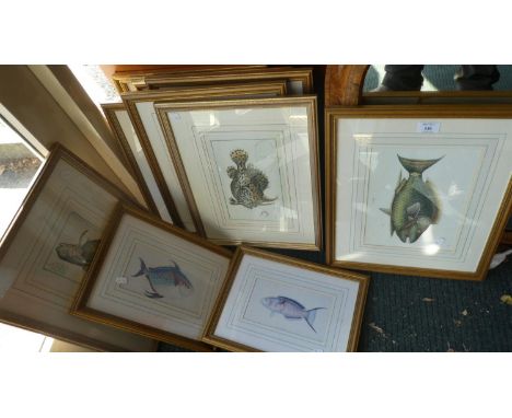 A Collection of Ten Framed Prints, Tropical and Exotic Fish 