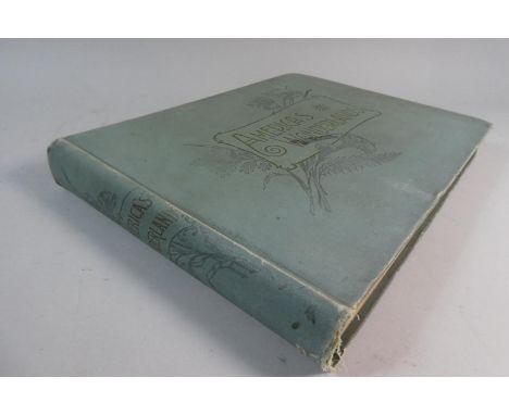 A Hardback Edition of America's Wonderlands a Pictorial and Descriptive History of Our Country's Scenic Marvels as Delineated