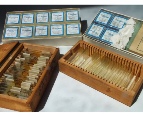 MICROSCOPY - A COLLECTION OF ASSORTED MICROSCOPIC SLIDES TO INCLUDE BOTANICAL EXAMPLES, some dated 1946 for Bedford College, 