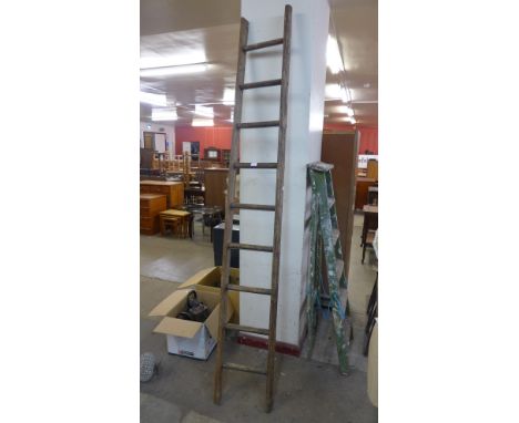 A pine fruit pickers ladder 