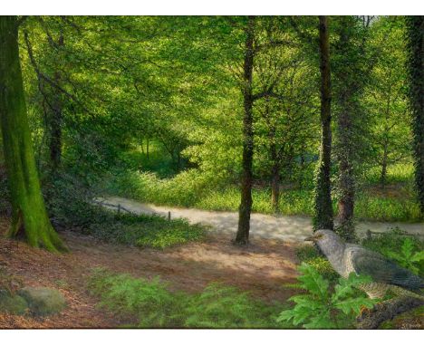 Raymond Booth (1929-2015) “Dove in a Woodland” (2007) Signed and dated 2007, oil on board, 51cm by 59cm Exhibited: "Raymond B
