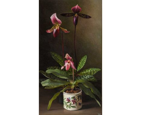 Raymond Booth (1929-2015) “The Slipper Orchids”  Signed and dated 1989, oil on board, 51cm by 28.5cm  Exhibited: "Raymond Boo